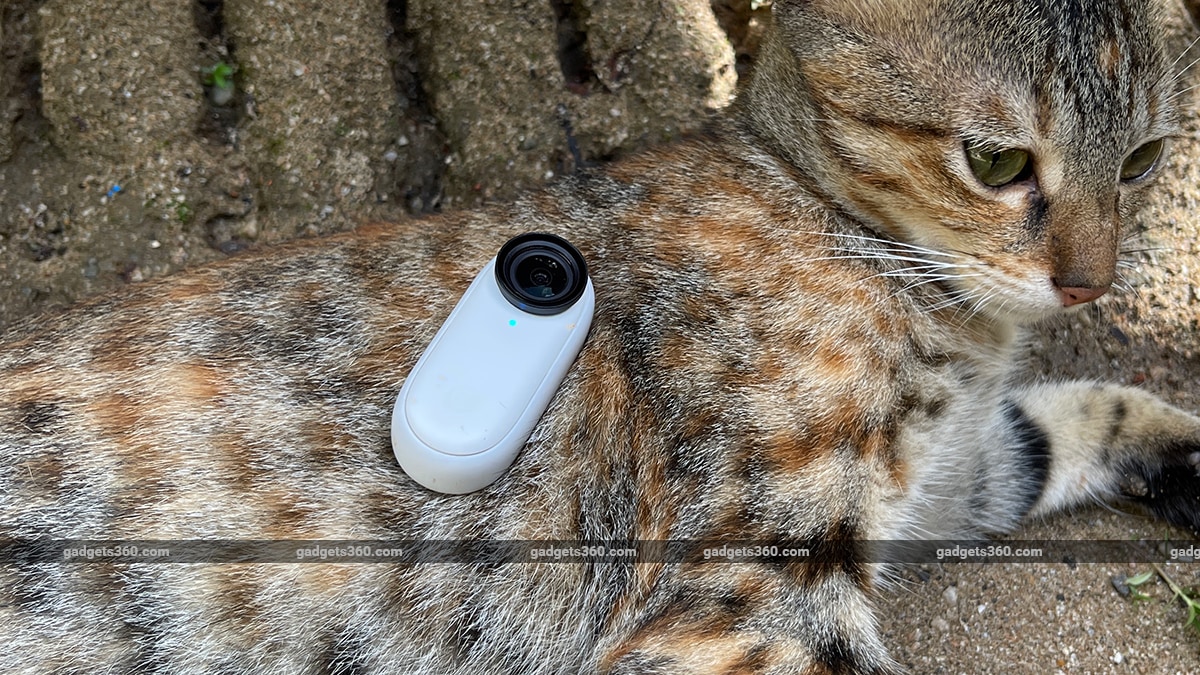 insta360 go2 review style cat mm
