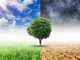 The Impact of Climate Change on Insurance
